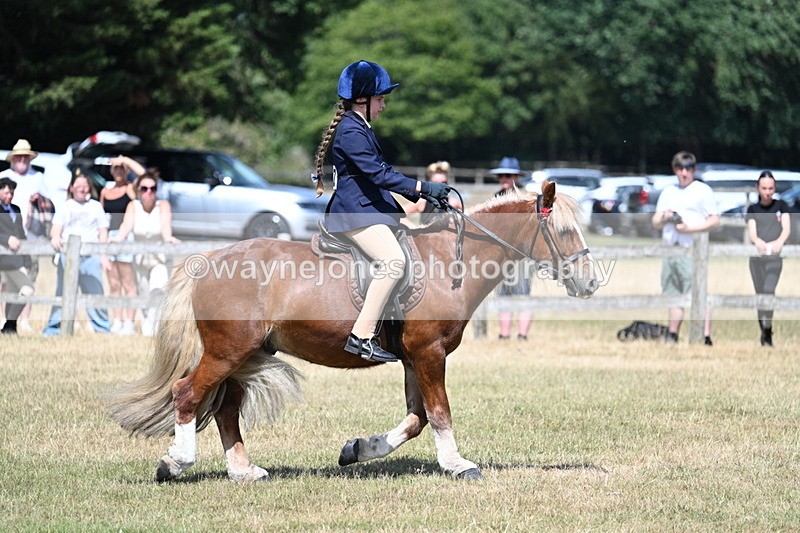 WJ7_3379 - Class 8 Ridden Veterans