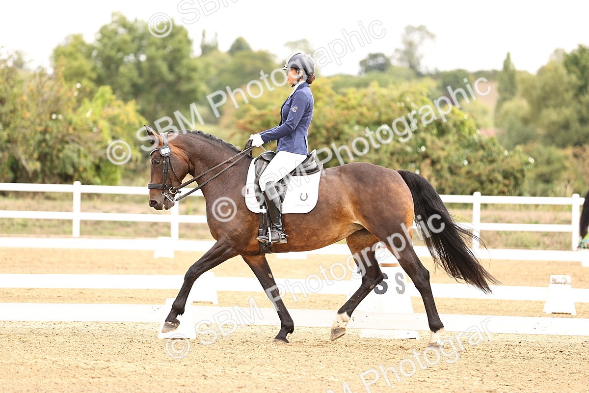 SBM_011613 - Class 1 - Medium 5