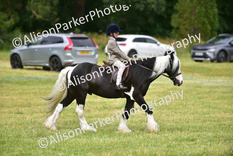 20260614-4170 - Class 17 - Best Mane and Tail