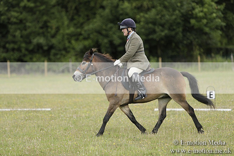 BVR160717-594 - Class 1 & 23a Dressage 16/07/17