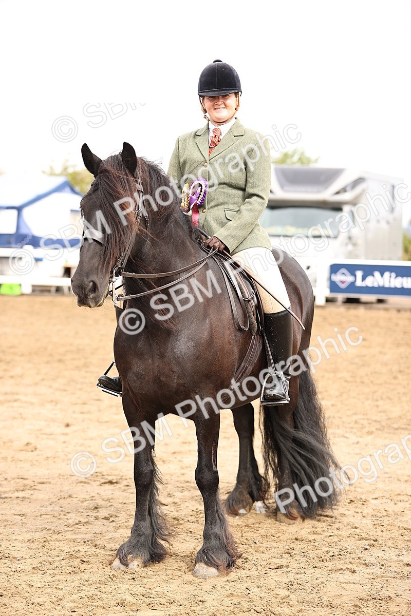 SBM_00697 - Class 53 - Ridden Competition Horse Pony