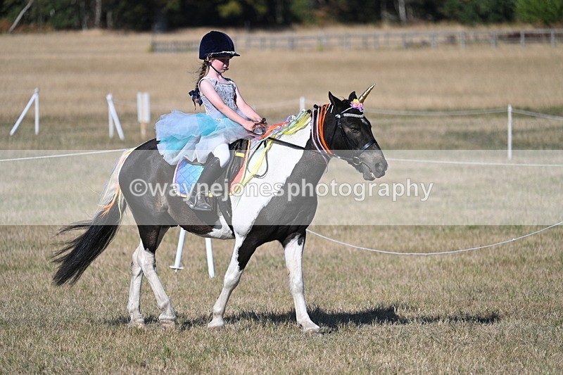 WJ7_2814 - Class 45 Fancy Dress (My Fav)
