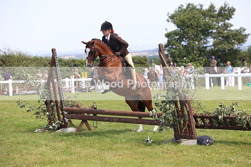 JPP_2639 - Class 21: Working Hunter 60cm