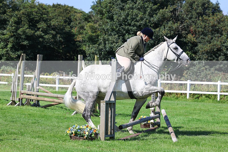 3E7A8255 - Class 4: Novice working Hunter