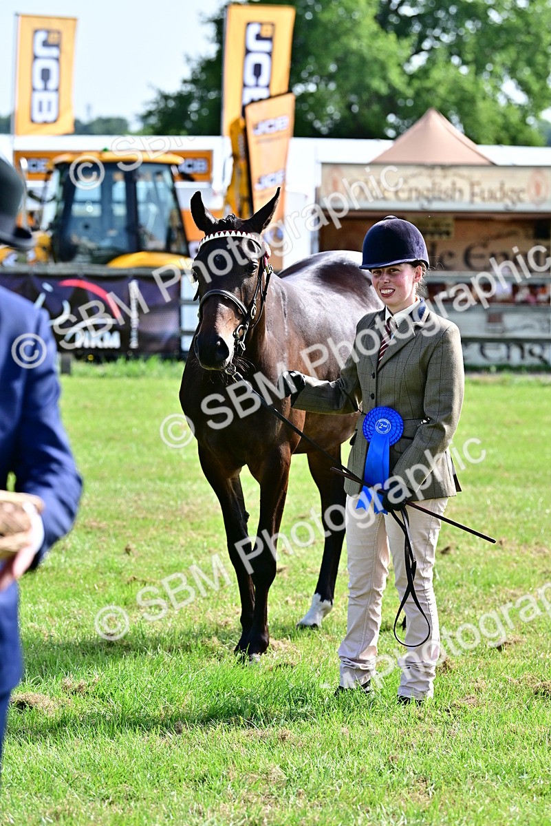 SBM_01118 - Class 46-49 - Arab and Part Bed-Anglo Arab In Hand