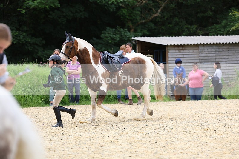 3E7A9426 - Walk trot run