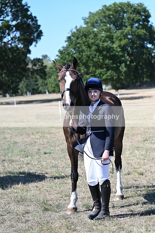 WJ7_1569 - Class 42 Most Handsome Gelding