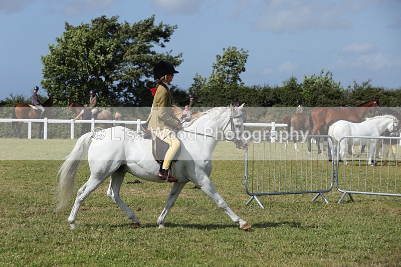 1X9A5772 - Class 40: NPS Welsh A & B