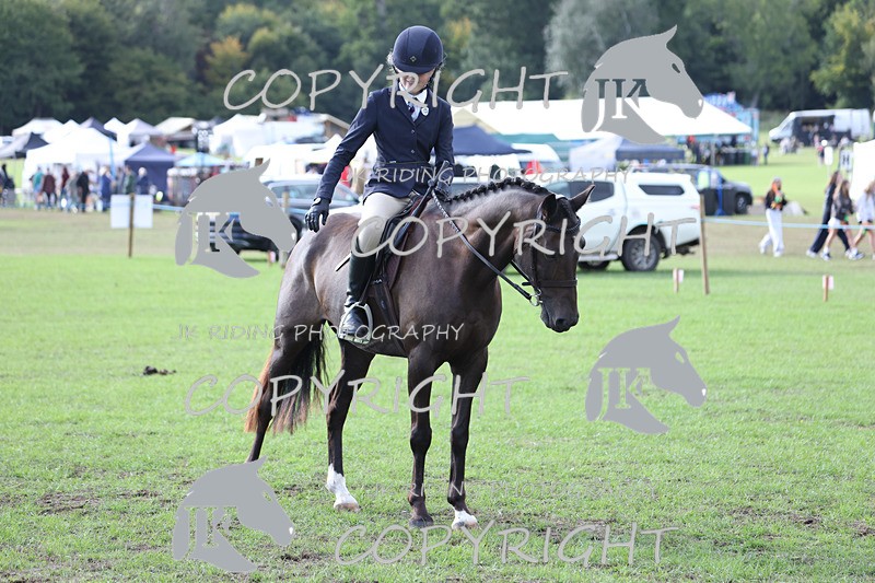 APP_4185 - Class 15a/b Pony club pony/Riding club horse