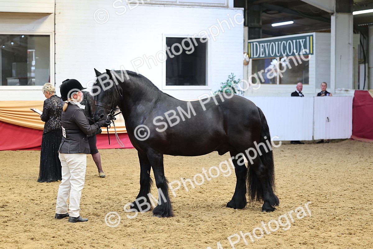 SBM_22894 - Class 903 - Supreme Final - IH Pre Vet