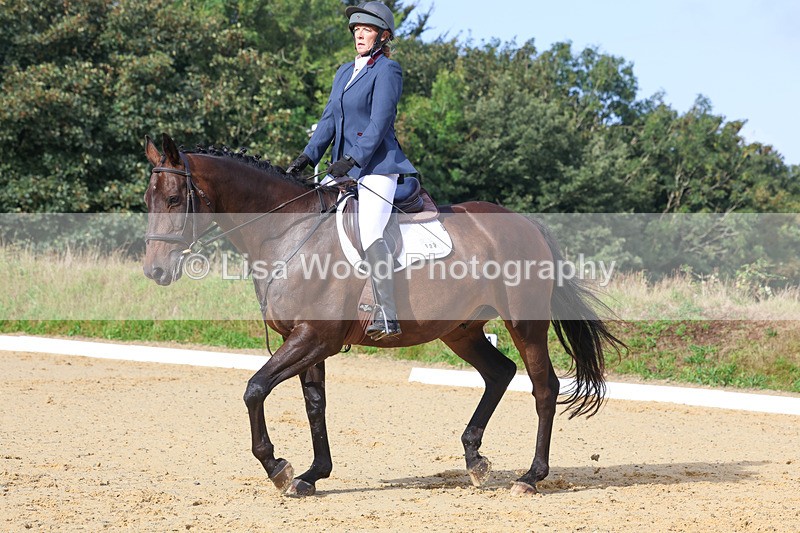 3E7A2165 - Class 1: Intro 4 2024 section A