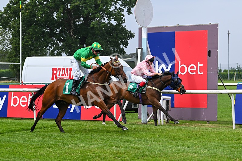 250725-Graham Lee IJF Stable Staff Stakes-E-3879 - The Graham Lee IJF Fund Stable Staff Stakes