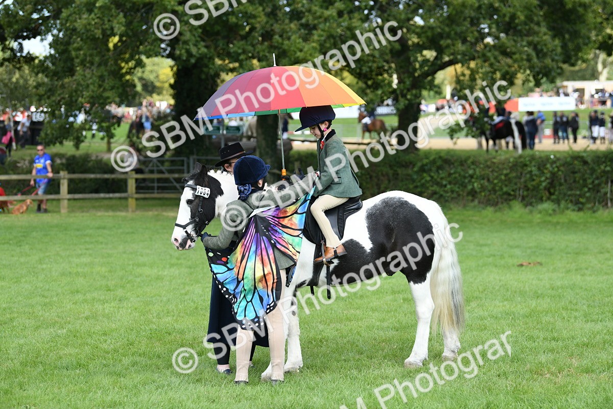 SBM_47003 - S12 - Family Horse & Pony