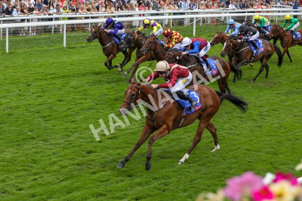270724-Race 2-Rage Of Bamby-4654 - Race 2 2.40pm Sky Bet Dash Handicap