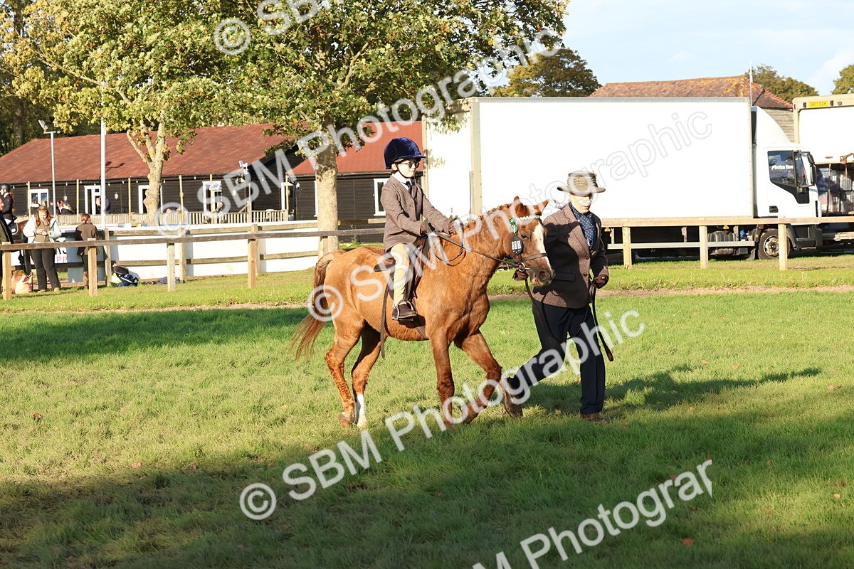 SBM_53026 - S29 - Mature Veteran Ridden