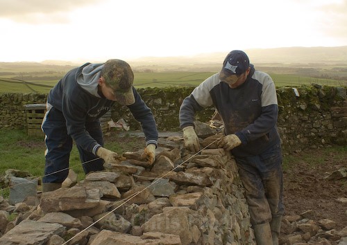 7 - Rab - Drystone Dyker