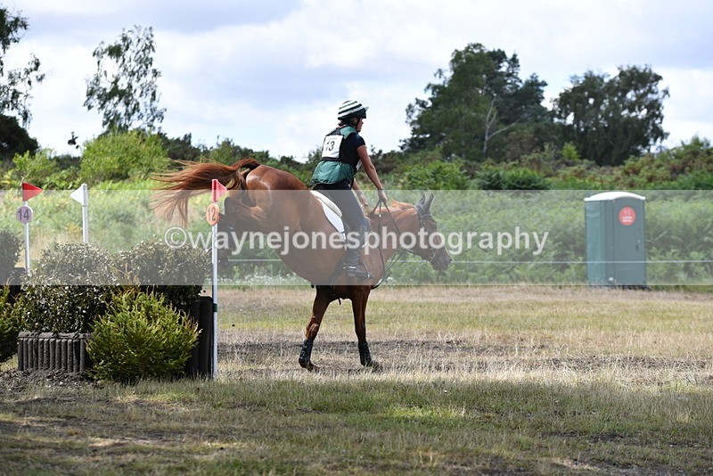 WJ5_9554 - Time 12:03 to 12:29