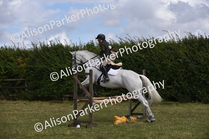 20250831-4114 - Class 13 - Working Hunter Horse or Pony