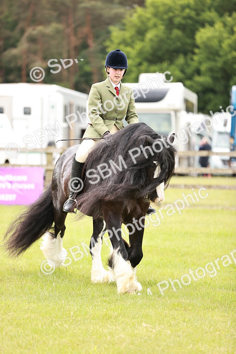 SBM_06143 - Class 39-41 TGCA In Hand and Ridden