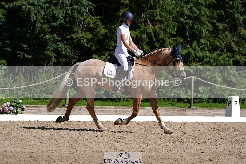 240719-154444-02749 - 103-Elissa_Franks-Golden_queen
