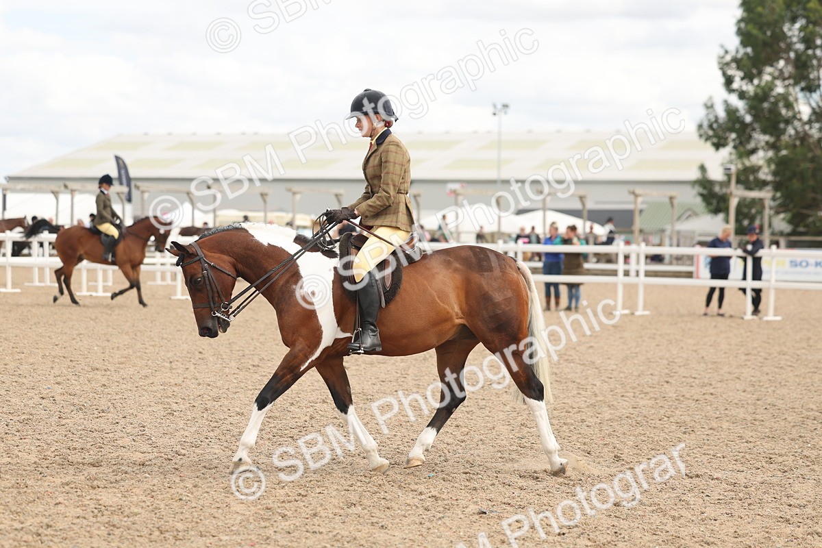 SBM_16002 - Class 311 - Ridden Show pony-Show hunter Pony