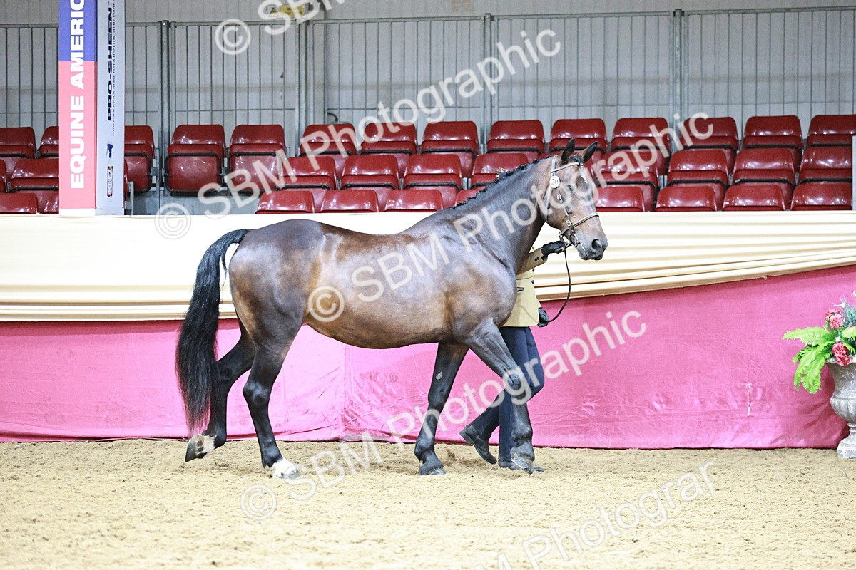 SBM_00851 - Class 2A - Area IH Veteran