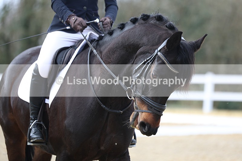 3E7A8879 - Class 2: Intro 1 2024 sec B - part one