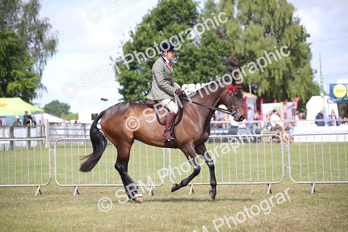 SBM_13323 - Class 95-96 - LIHS BSHA Rising Star Hack Riding Horse