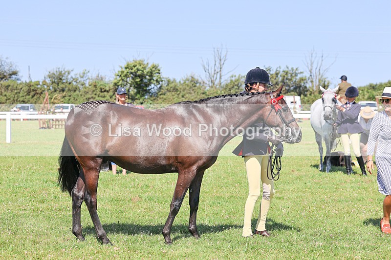 IMG_1948 - Class 33: Show Pony 148cm and under