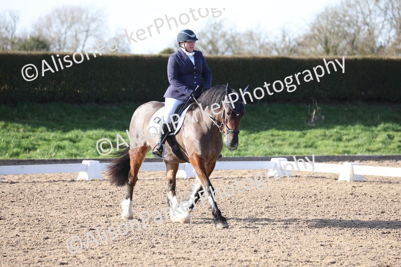 20260214-0566 - Class 5 - Novice 3