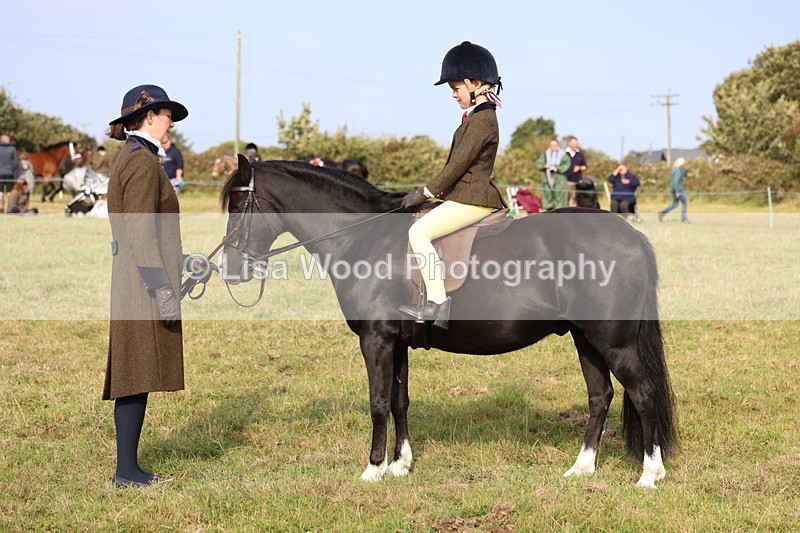 3E7A3716 - Class 2: Lead rein