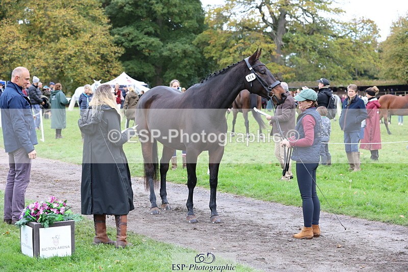 251026A-110424-23491 - F-474-Sarah.Orme