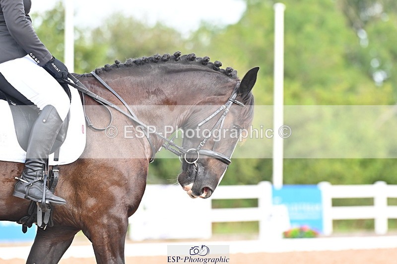 240817A-101623-07720 - 303-Tiffany.Ogden-Bobby.Boucher