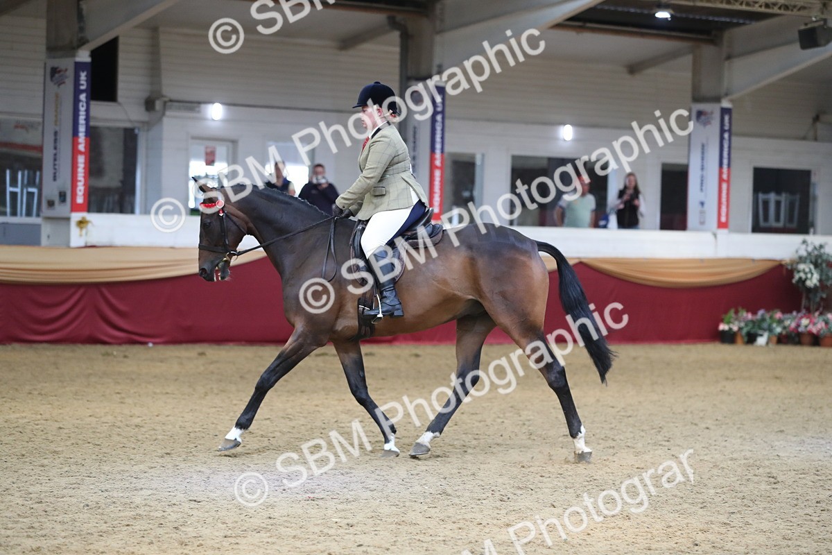 SBM_12387 - Class 108 Ridden Retired Racehorse- Pre Judging
