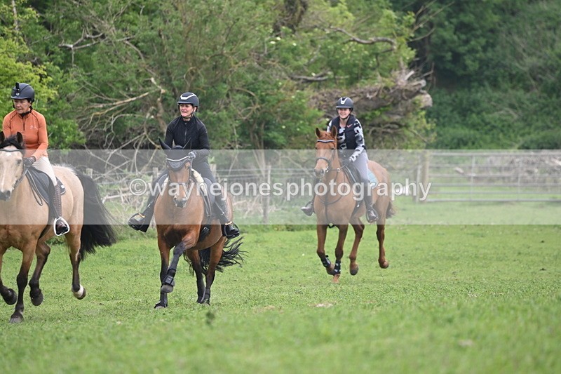 WJ6_2609 - A camera