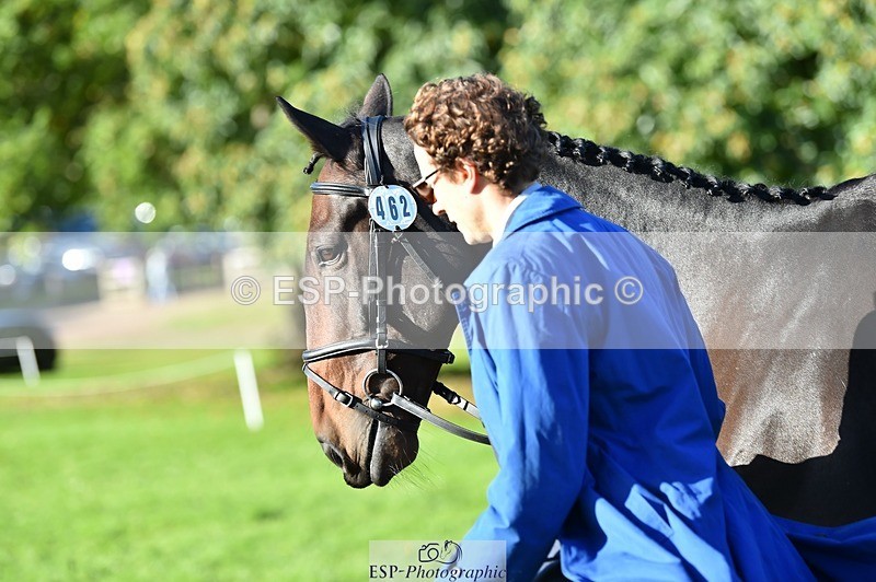 231022-102610-22481 - 462-SILVER.BAY-Marshall.David.Johnson-TrotUp+SJ
