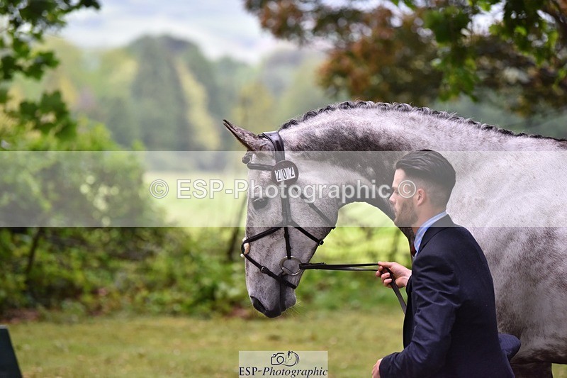 240522-162508-00903 - 202-WHIXLEY_QUALITAS-Barnie_Brotherton