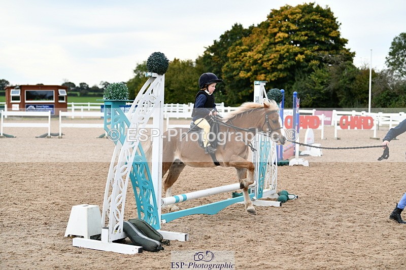 241013B-103156-00393 - Cls 2c 40cm Lead Rein