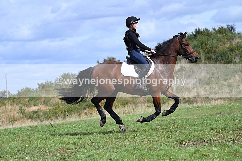 WJ7_1906 - Time 13:17 to 13:53