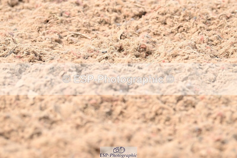 240621A-145929-04074 - Cls 11 BD Medium 73