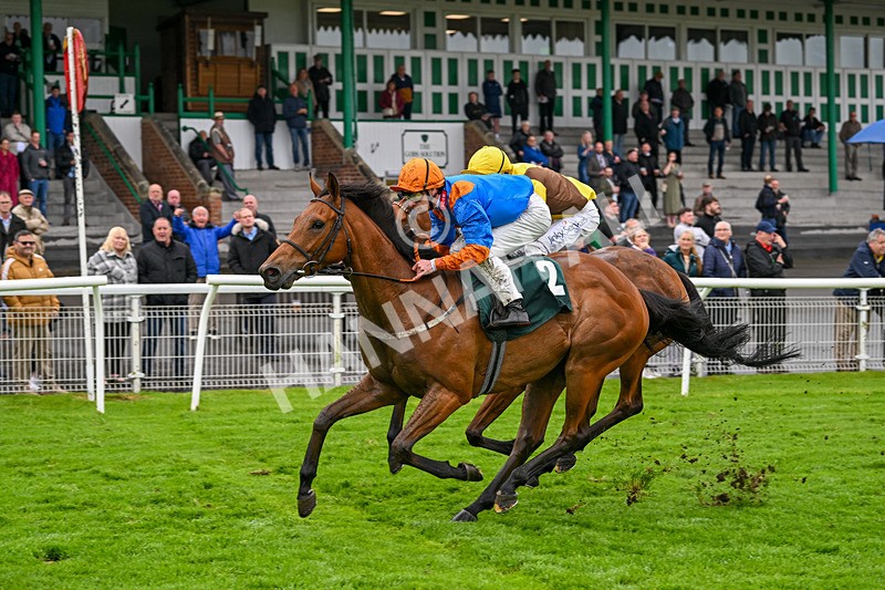 230524-Race 7-Homer Stokes-2066 - Race 7