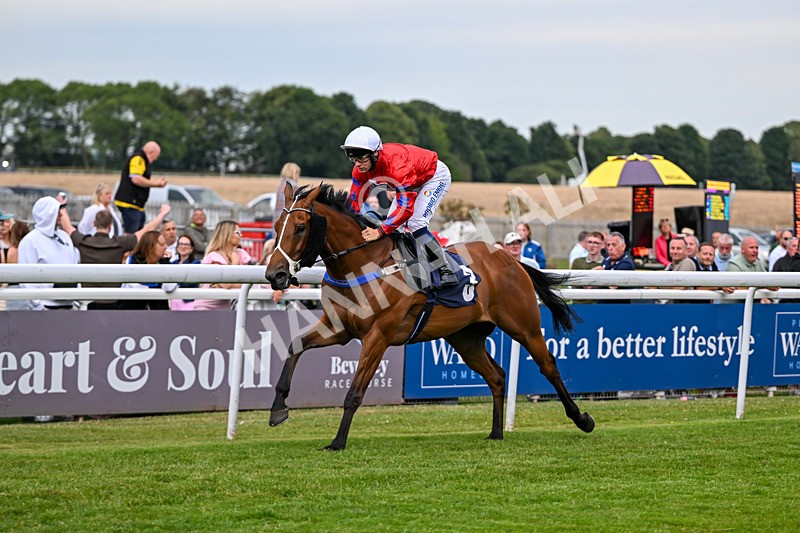 030726-Race 4-Midnight Strike-1331 - Race 4 19.35pm Westwood Selling Stakes