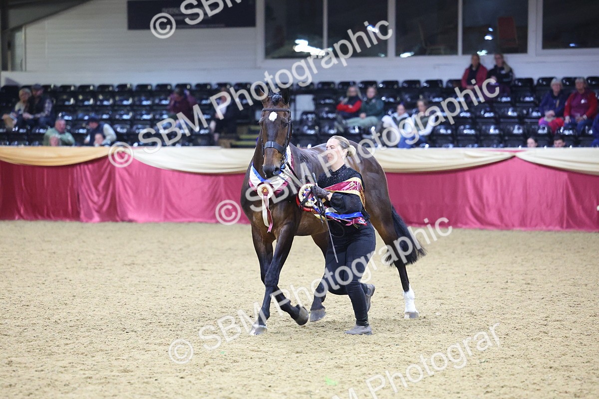 0B8A4564 - Class P Veteran Champ