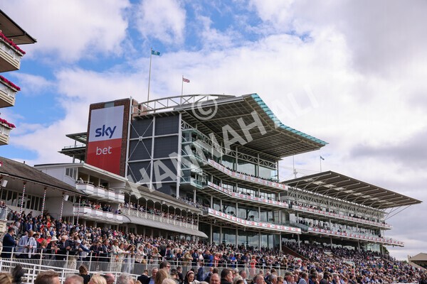 yr17082022r2-17 - Race 2 2.25pm Tattersalls Acomb Stakes