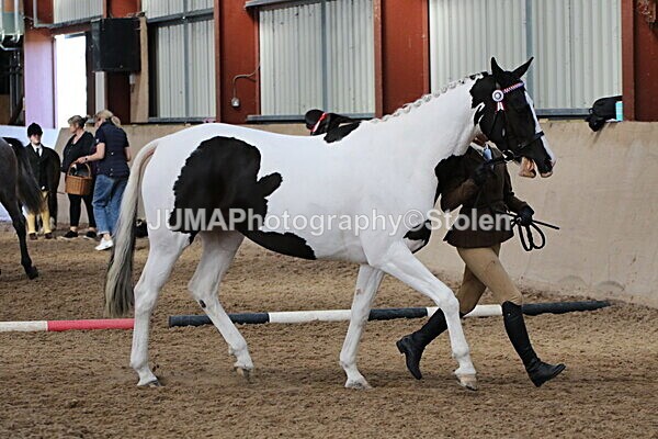 SIAL9874 - Indoor Classes