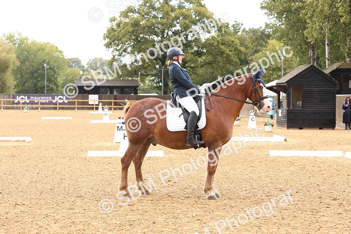 SBM_40632 - D6 - Small Tour Championship Intro 4