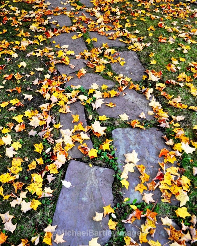 Changing Seasons - Style Images
