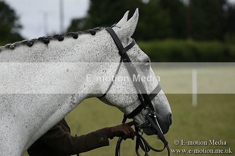 BVR160717-217 - Ring 2 BVRC Show 16/07/17