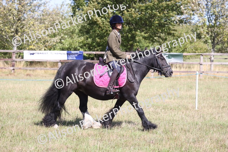 20260906-2345 - Class 16 - Family Pony