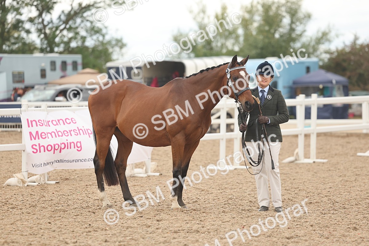 SBM_17135 - Class 313 - IH Retired Racehorse